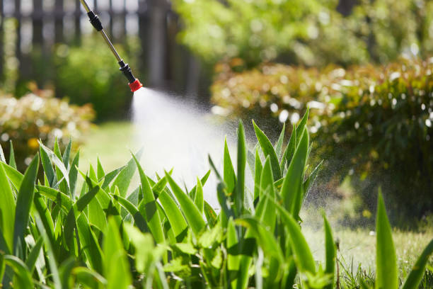 24/7 Emergency Mosquito Control experts in Snyderville, UT